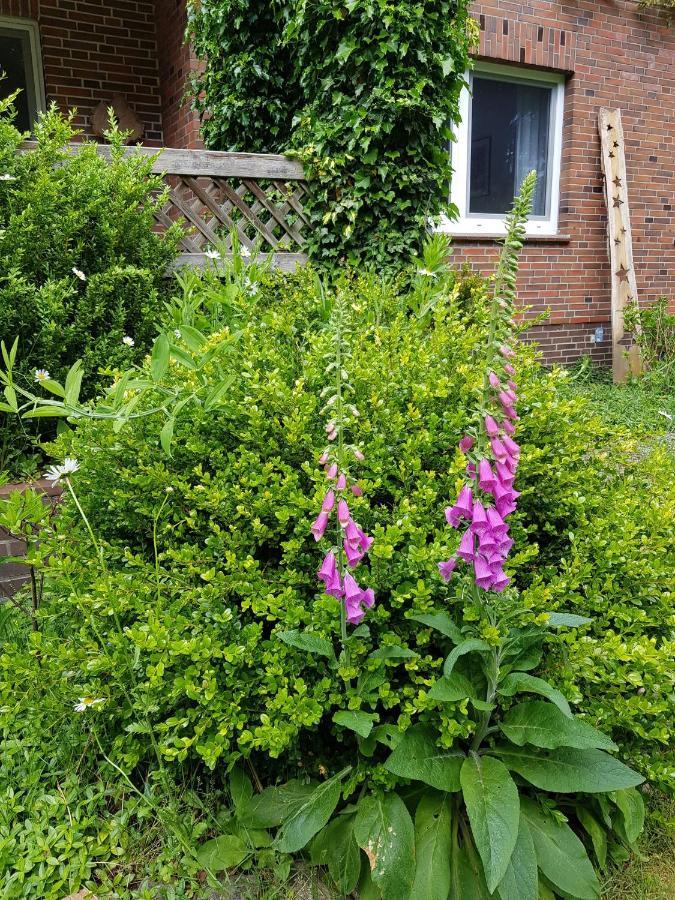 Ferienwohnung Im Naturgarten Шневердинген Екстериор снимка